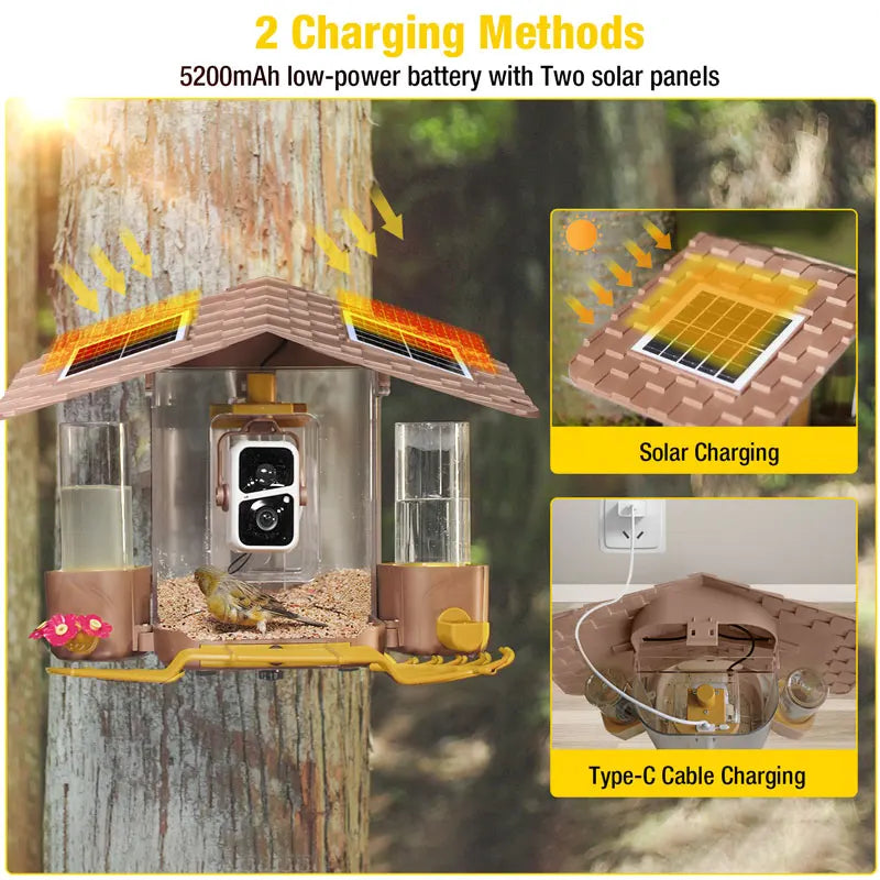 Smart Bird Feeder with Camera - 1080P HD, AI Bird Identification, Solar Powered, IP65 Weatherproof