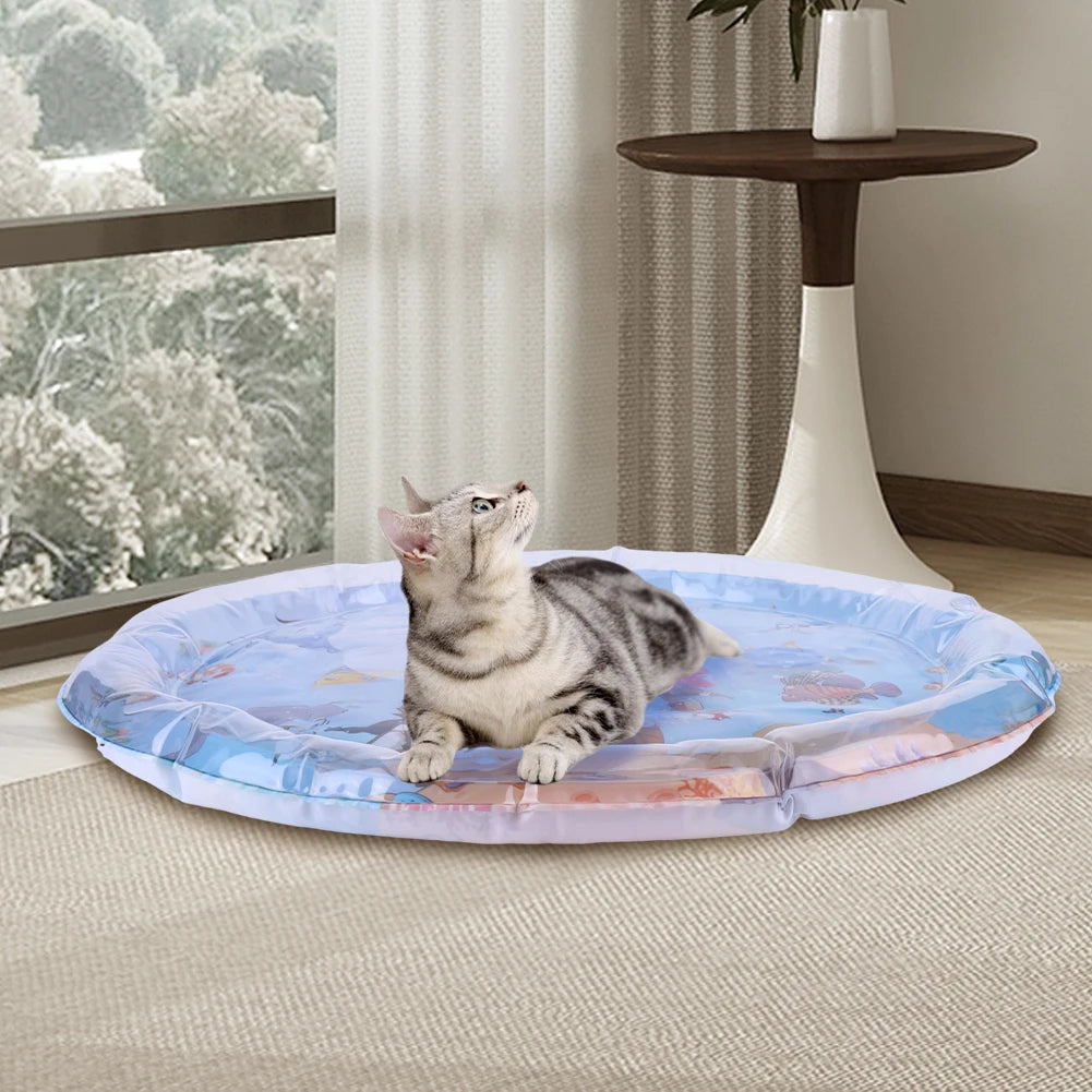 Alloet Aqua Interactive Cat Play Mat Boredom Buster For Cats